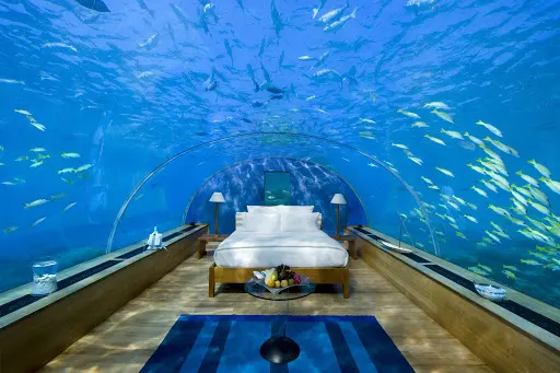 Conservation and maintenance of vulnerable marine ecosystems by tourism